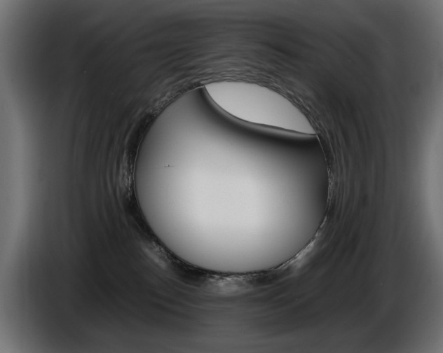 X0000086910186200704161017