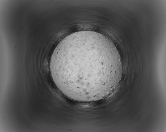 X0000086910187200704161017