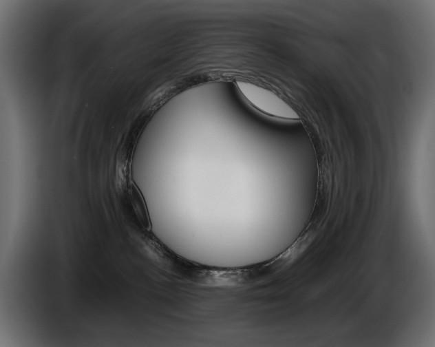 X0000086910188200704161017