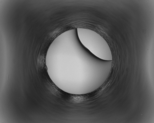 X0000086910189200704161017