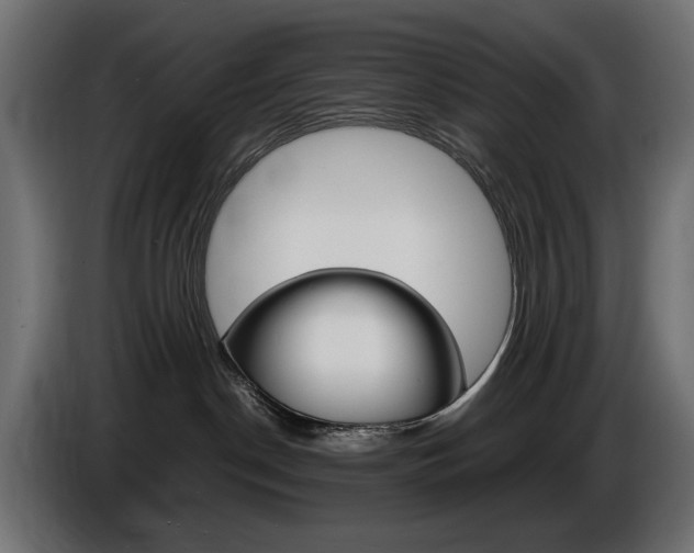 X0000086910190200704161017