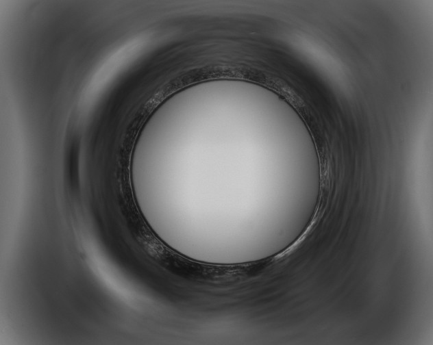 X0000086910191200704161017
