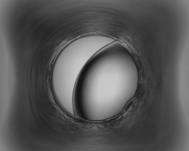 X0000086910193200704161017