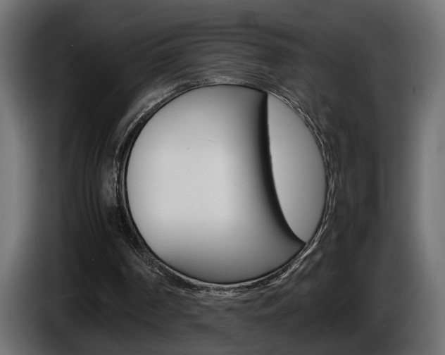 X0000086910194200704161017