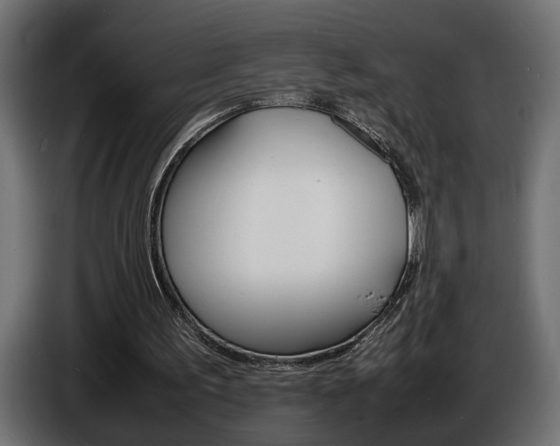 X0000086910195200704161017