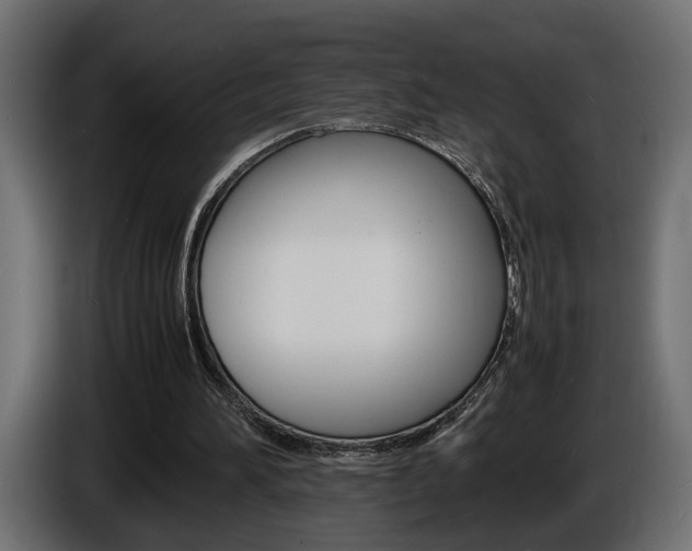 X0000086910196200704161017