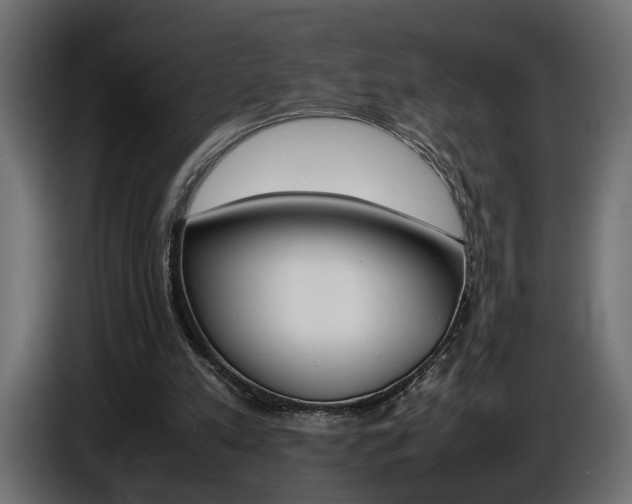 X0000086910197200704161017