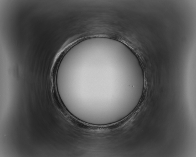 X0000086910198200704161017