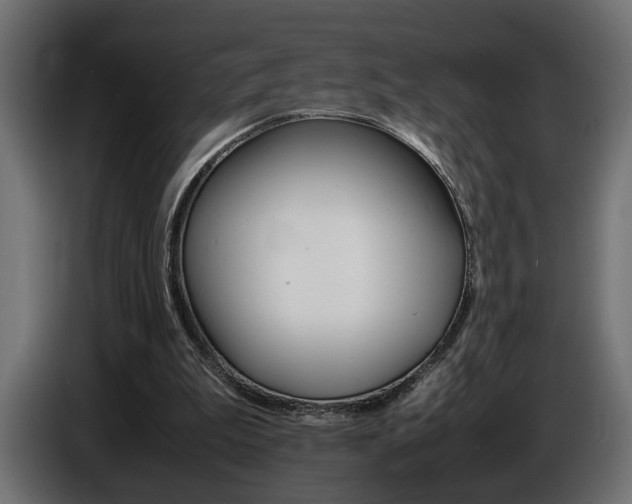 X0000086910199200704161017