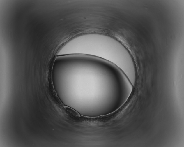 X0000086910201200704161017