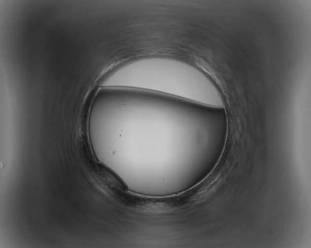 X0000086910203200704161017