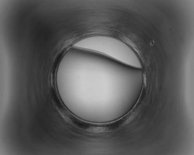 X0000086910205200704161016