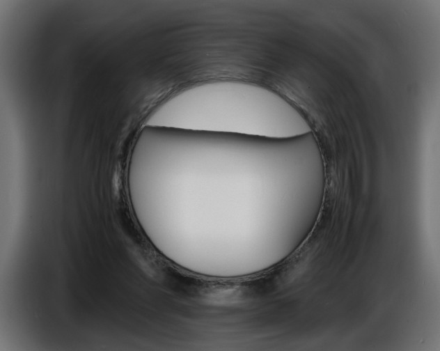 X0000086910206200704161016