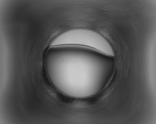 X0000086910207200704161016