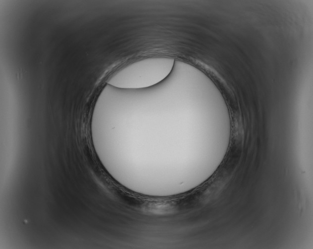 X0000086910208200704161016