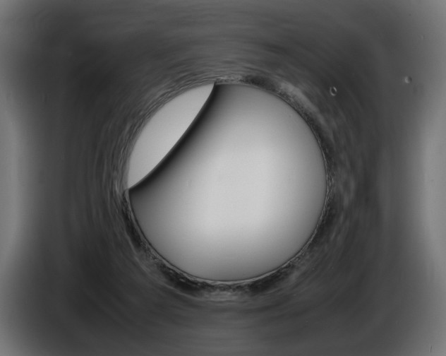 X0000086910209200704161016