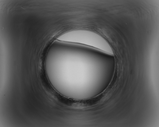 X0000086910211200704161016