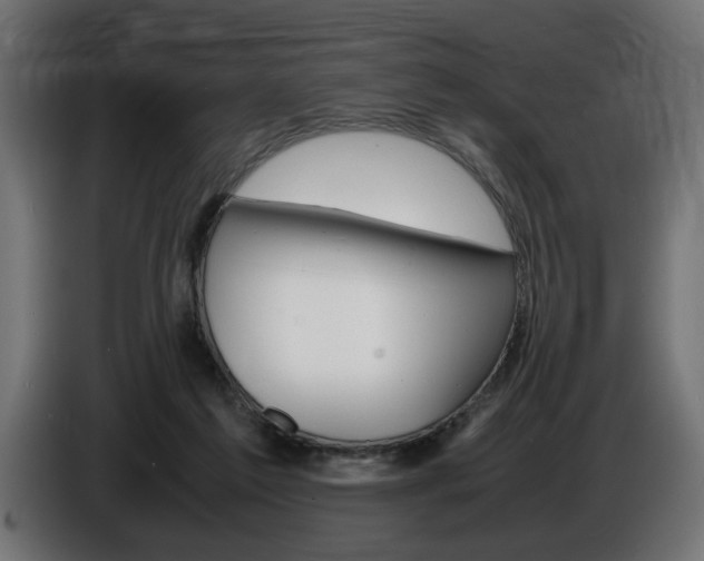X0000086910213200704161016