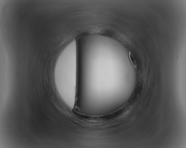 X0000086910215200704161016