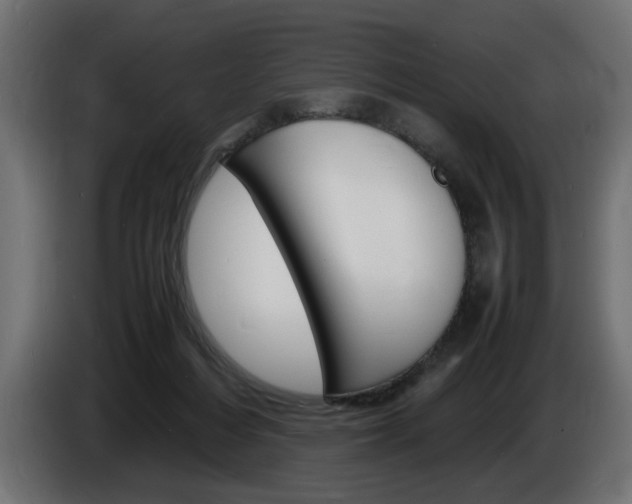 X0000086910216200704161016