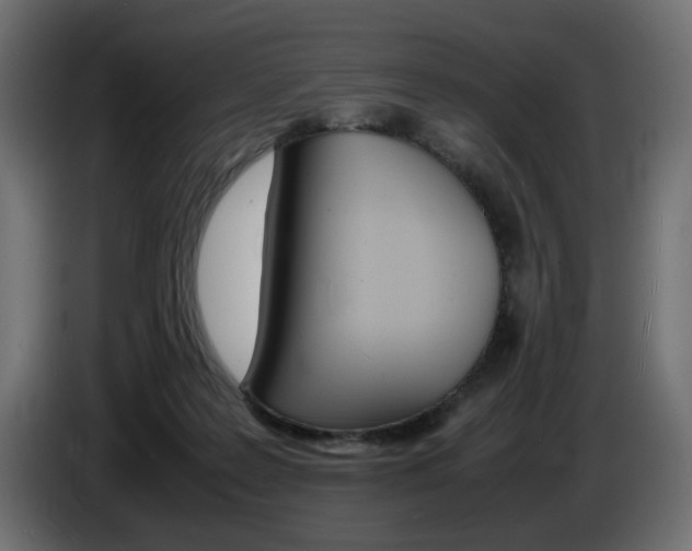 X0000086910219200704161016