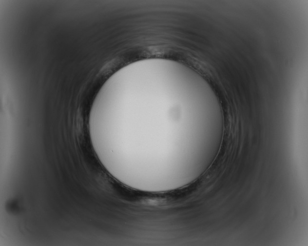 X0000086910220200704161016