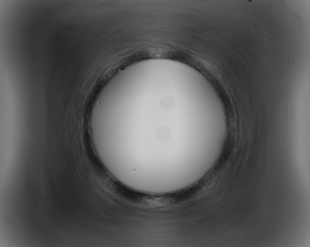 X0000086910221200704161016