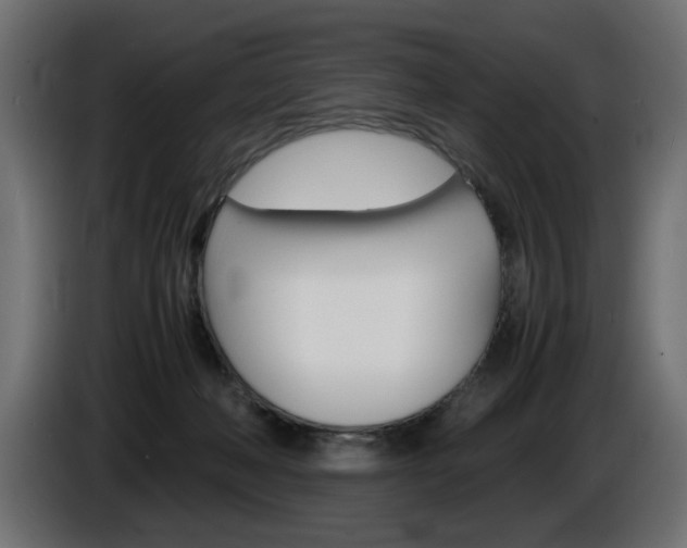 X0000086910222200704161016