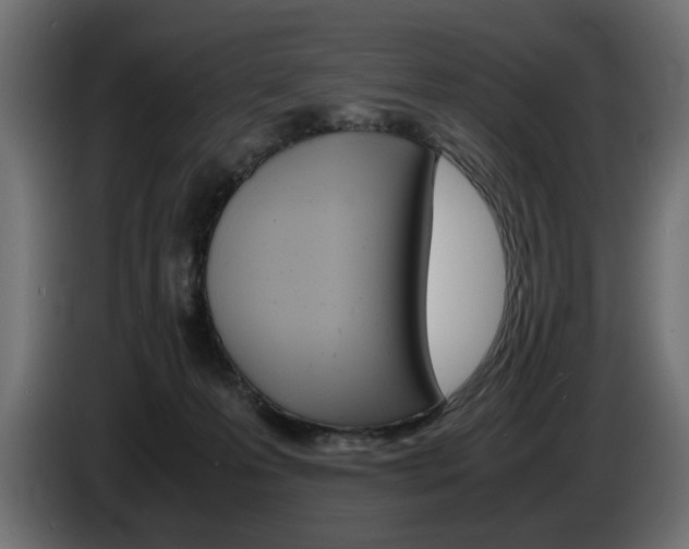 X0000086910223200704161016