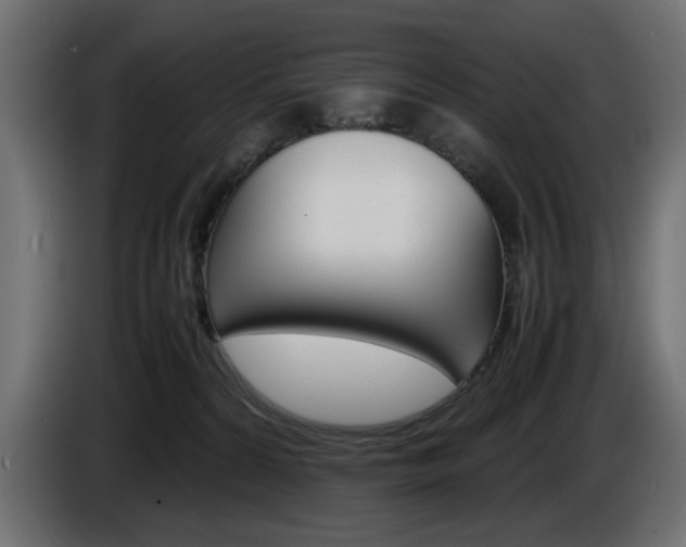 X0000086910224200704161016
