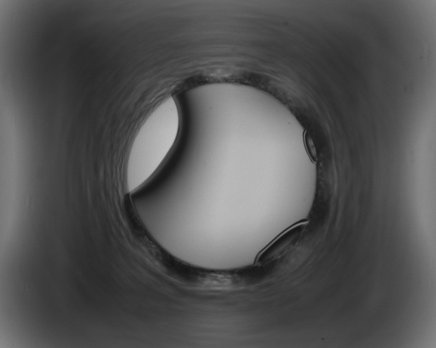X0000086910227200704161016