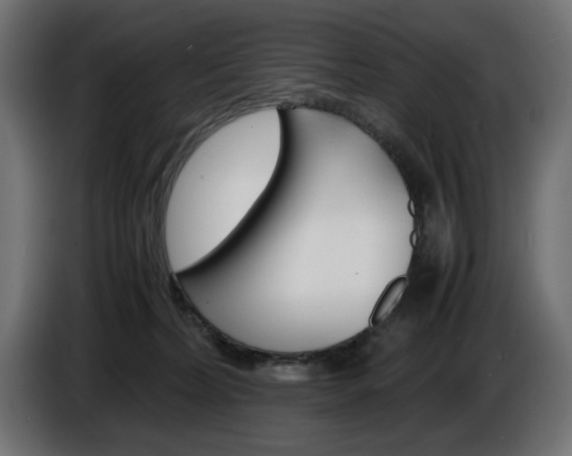 X0000086910228200704161016