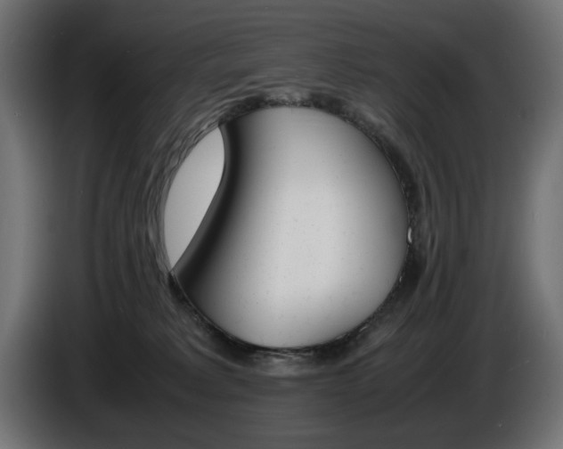 X0000086910229200704161016