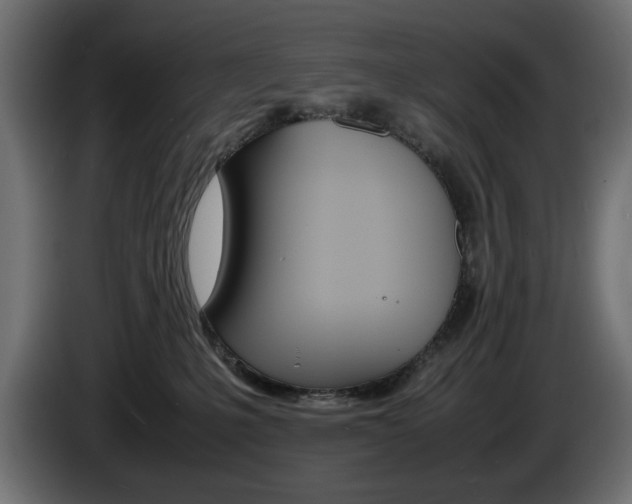 X0000086910231200704161016