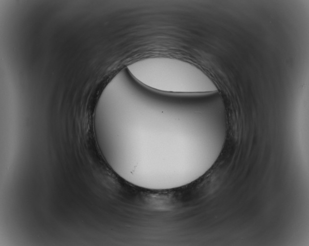 X0000086910232200704161016