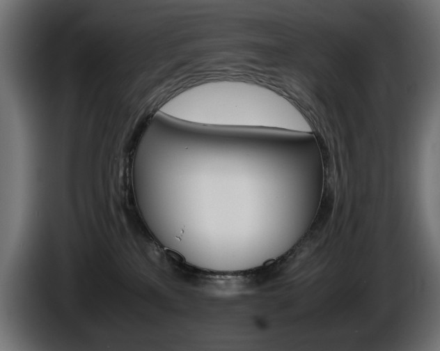 X0000086910233200704161016
