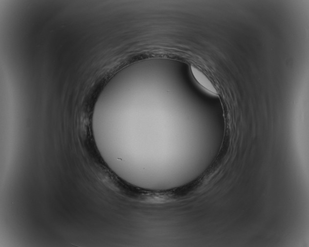 X0000086910235200704161016