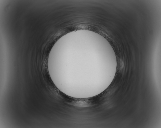 X0000086910236200704161016