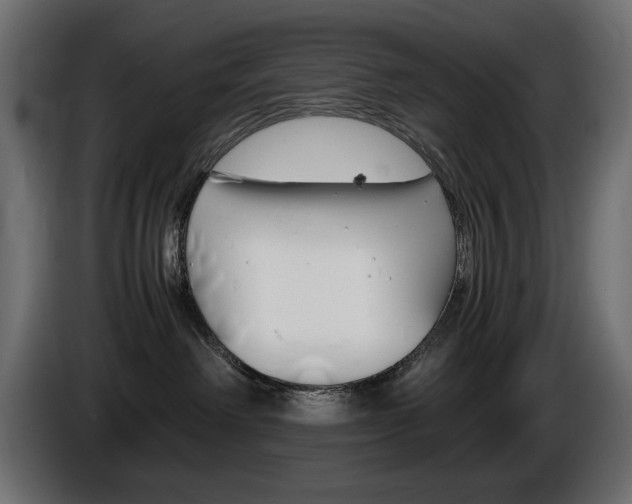 X0000086910238200704161016
