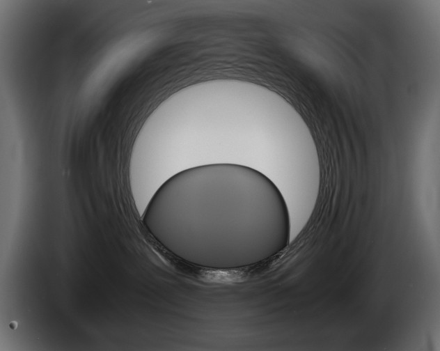 X0000086910239200704161016