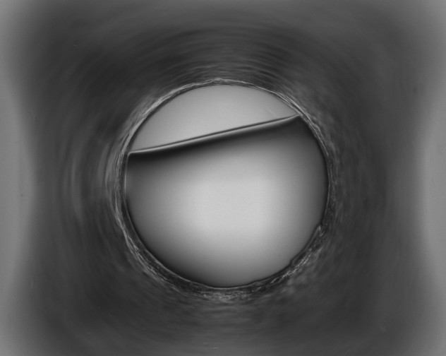 X0000086910241200704161015