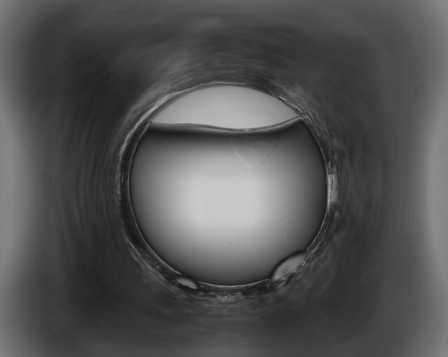X0000086910243200704161015