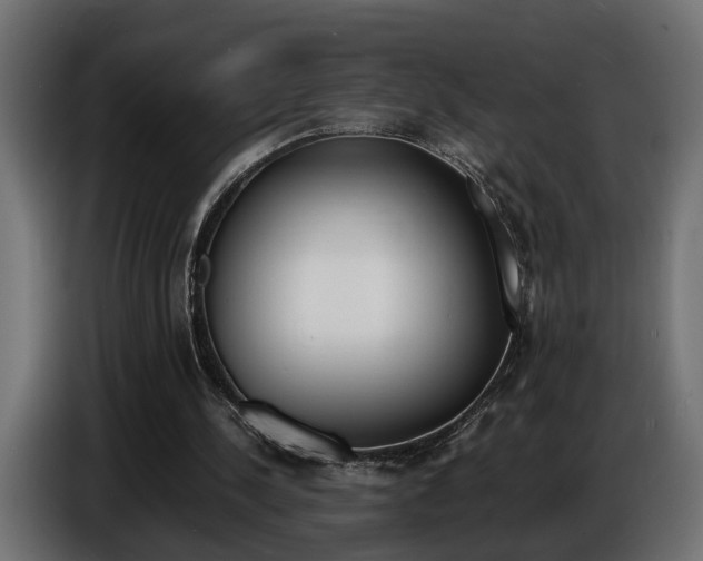 X0000086910244200704161015