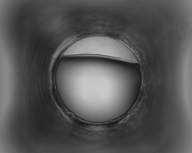 X0000086910245200704161015