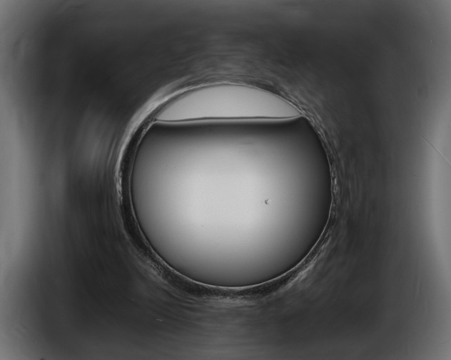 X0000086910246200704161015