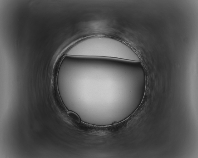 X0000086910247200704161015