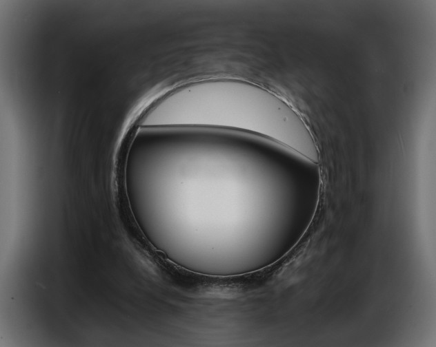 X0000086910248200704161015