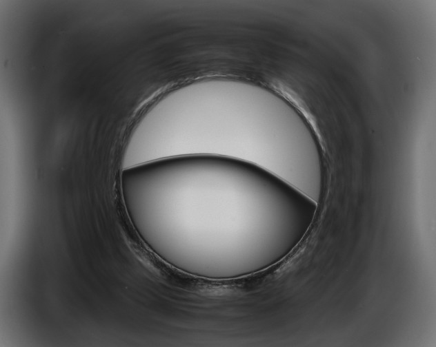X0000086910249200704161015