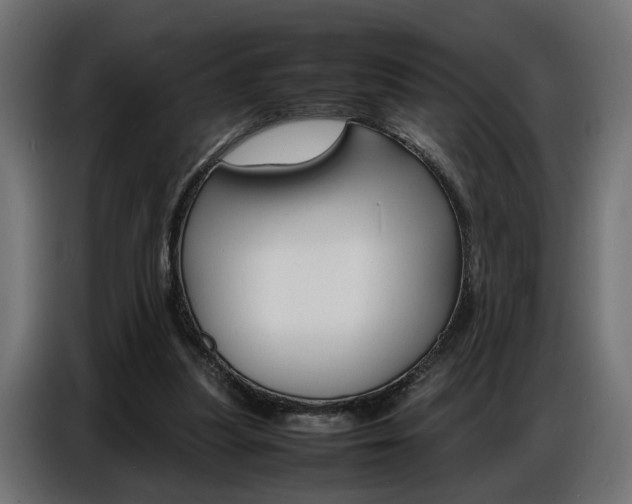 X0000086910251200704161015