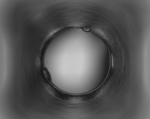 X0000086910252200704161015
